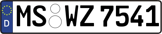 MS-WZ7541