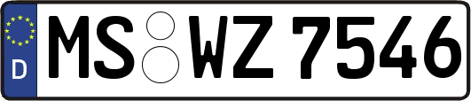 MS-WZ7546