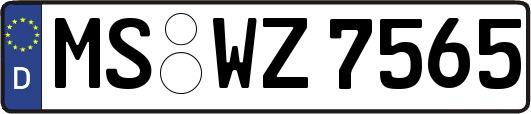MS-WZ7565