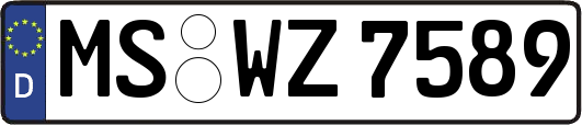MS-WZ7589