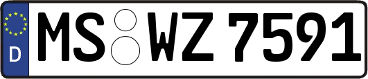 MS-WZ7591