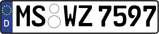 MS-WZ7597
