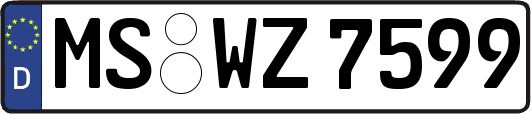 MS-WZ7599