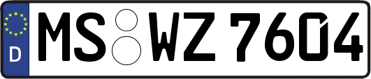 MS-WZ7604