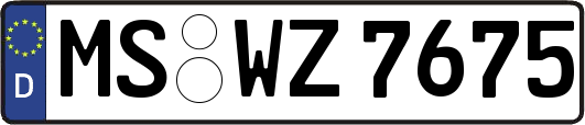 MS-WZ7675