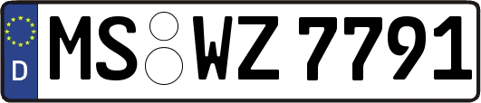 MS-WZ7791