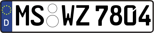 MS-WZ7804