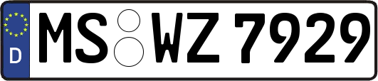 MS-WZ7929