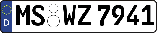 MS-WZ7941