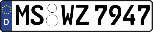 MS-WZ7947