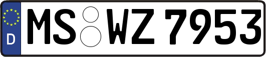 MS-WZ7953