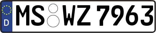MS-WZ7963