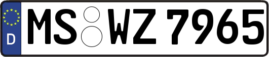 MS-WZ7965