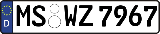 MS-WZ7967
