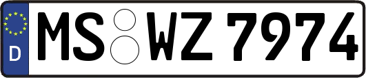 MS-WZ7974