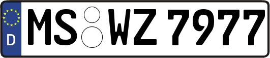 MS-WZ7977