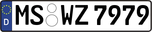 MS-WZ7979