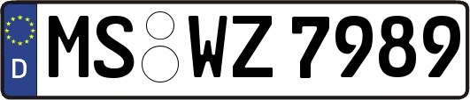 MS-WZ7989