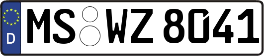 MS-WZ8041