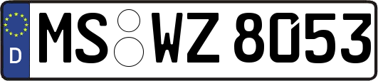 MS-WZ8053
