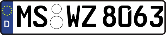 MS-WZ8063