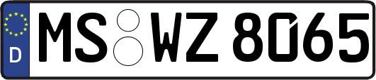 MS-WZ8065