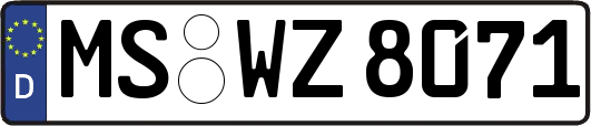 MS-WZ8071