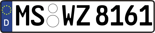 MS-WZ8161