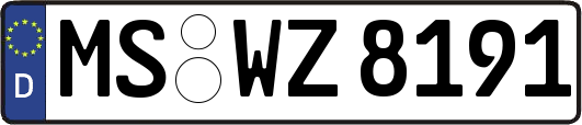 MS-WZ8191