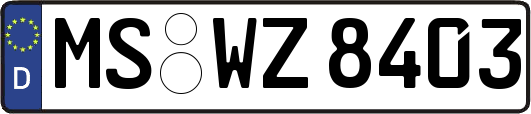 MS-WZ8403
