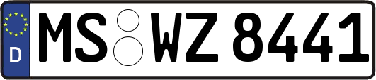 MS-WZ8441