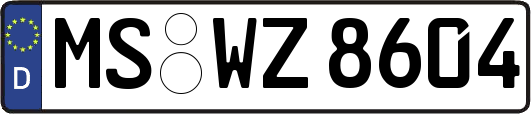 MS-WZ8604