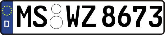 MS-WZ8673