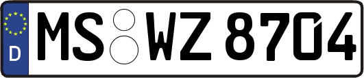 MS-WZ8704