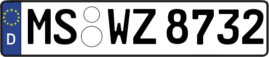 MS-WZ8732