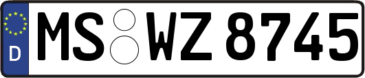 MS-WZ8745