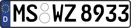 MS-WZ8933