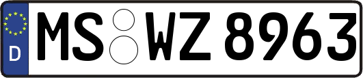 MS-WZ8963