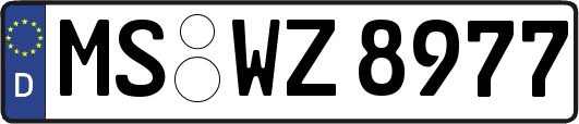 MS-WZ8977