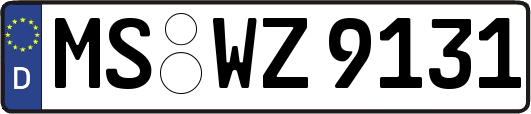 MS-WZ9131