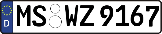 MS-WZ9167