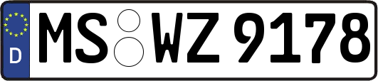 MS-WZ9178