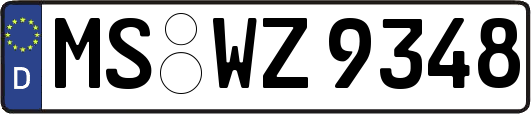 MS-WZ9348