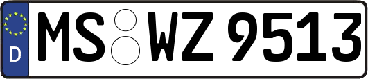 MS-WZ9513