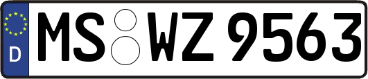 MS-WZ9563
