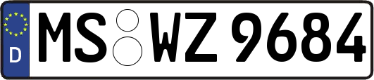 MS-WZ9684