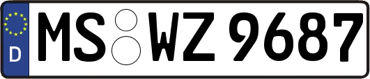 MS-WZ9687