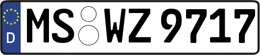 MS-WZ9717