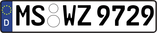 MS-WZ9729