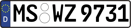 MS-WZ9731